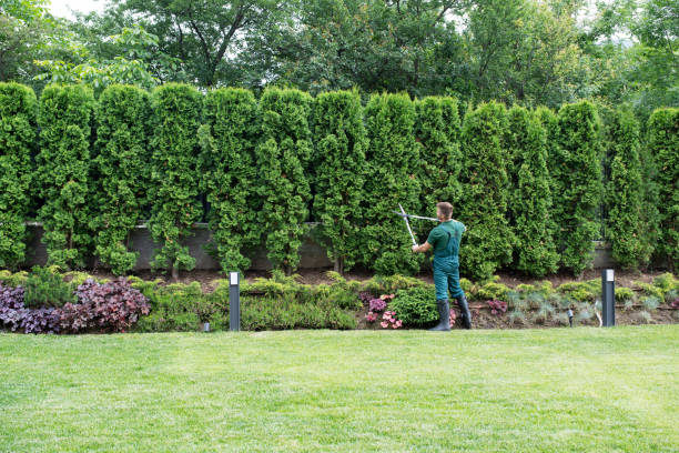 Best Soil Testing and Treatment  in Chicago Heights, IL
